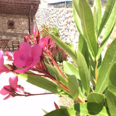 Apianes Villa *